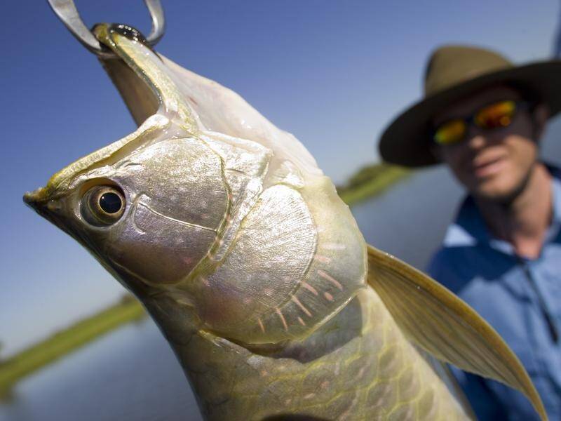 NT traditional owners have opened up hundreds of kilometres of prime fishing grounds.