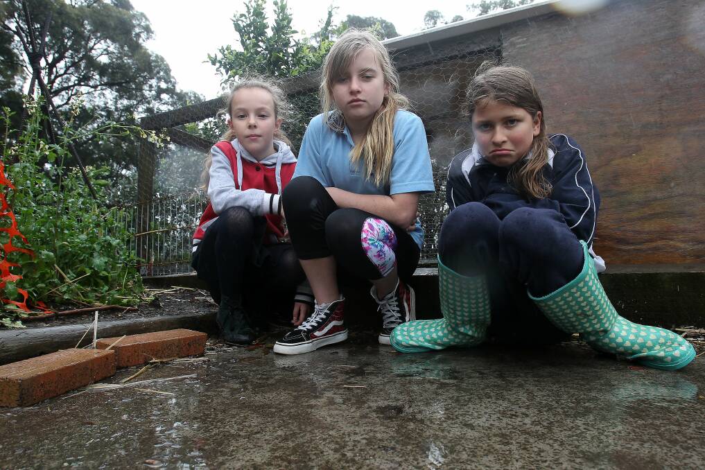 Saddened year 5 students Zoe Wemyss, Emelia Morris and Delaila El Haroun outside the chicken coup at  Gwynneville Public School on Tuesday. Picture: GREG TOTMAN

