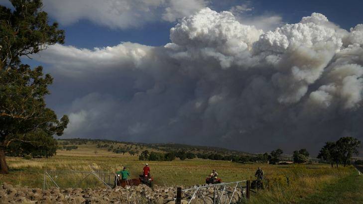 Livestock was relocated from a property near Coolah, as smoke from the Sir Ivan fire east of Dunedoo loomed. Photo: Alex Ellinghausen