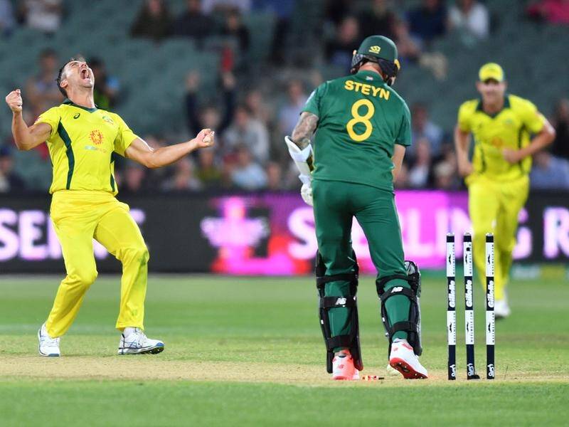 A key contribution with the ball from Marcus Stoinis helped Australia end their ODI losing streak.