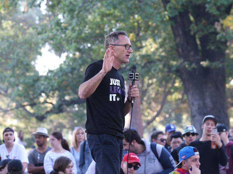 Greens leader Richard Di Natale addresses a Melbourne rally in support of legalising cannabis.