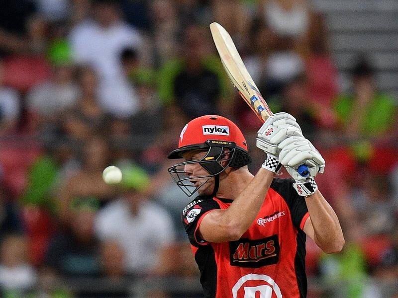 Veteran Cameron White is back from injury for the Renegades BBL semi-final with the Sydney Sixers.