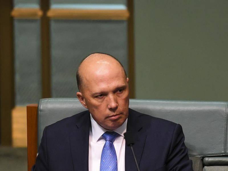 Questions have been raised about Peter Dutton's constitutional eligibility to sit in parliament.