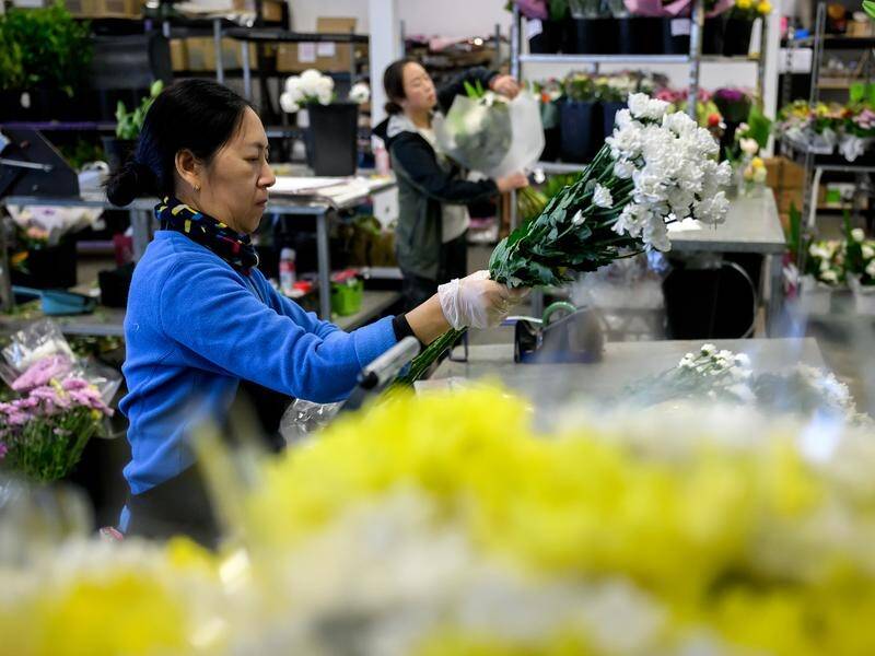 Florists have been busy preparing for the surge of sales ahead of Mother's Day on Sunday. (Bianca De Marchi/AAP PHOTOS)