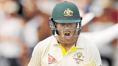 Despite a past record for finding trouble, David Warner feels he has toned down enough to warrant being named as Australia's next vice-captain.
