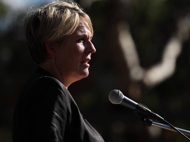 Tanya Plibersek says the government will help First Nations people to own, access and manage water. (Paul Braven/AAP PHOTOS)