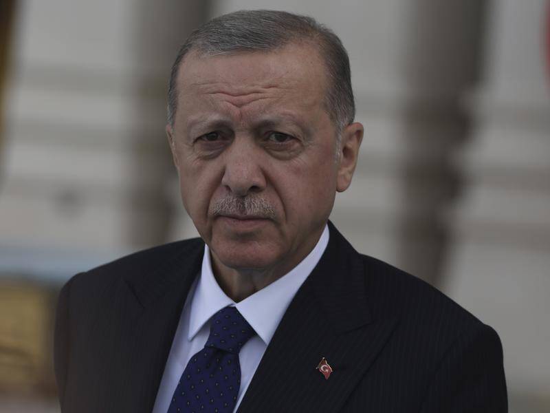 Turkey's Tayyip Erdogan is against Nordic support for Kurdish arms embargoes on Ankara.