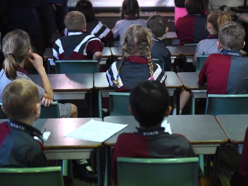 The 2018 NAPLAN test results show writing skills of primary and high school students have dropped.