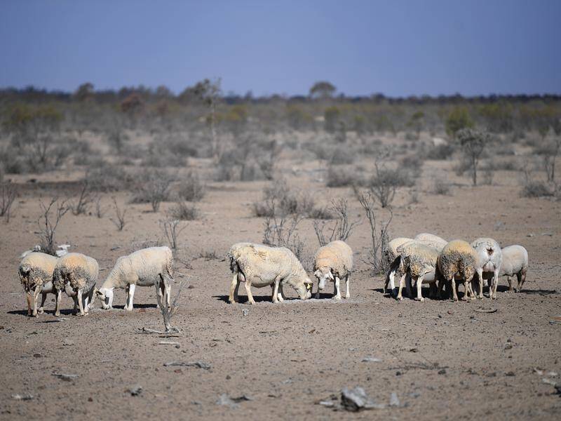Consecutive days of rain are expected in some drought-affected parts of Queensland.