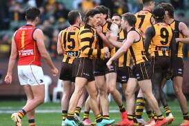 The Hawks have won their fifth game of the season by comfortably beating Adelaide in Melbourne. (Joel Carrett/AAP PHOTOS)