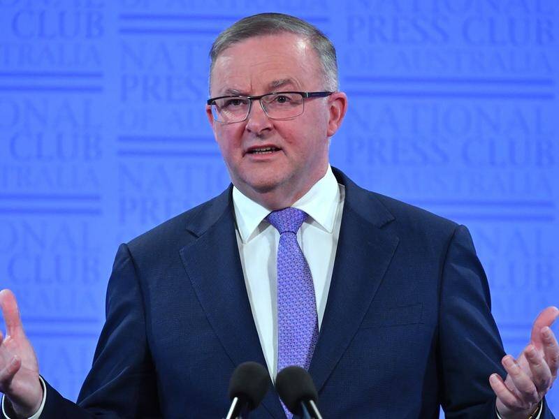Anthony Albanese says his offer to work on a bipartisan energy policy is genuine.