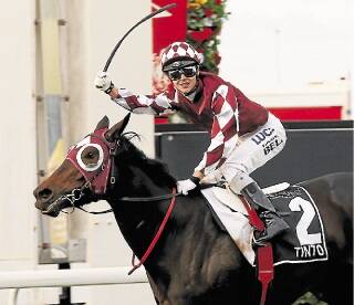 Salute: Tim Bell and Tinto winning the Group 1 Queensland Oaks at Eagle Farm on Saturday. Picture: TERTIUS PICKARD