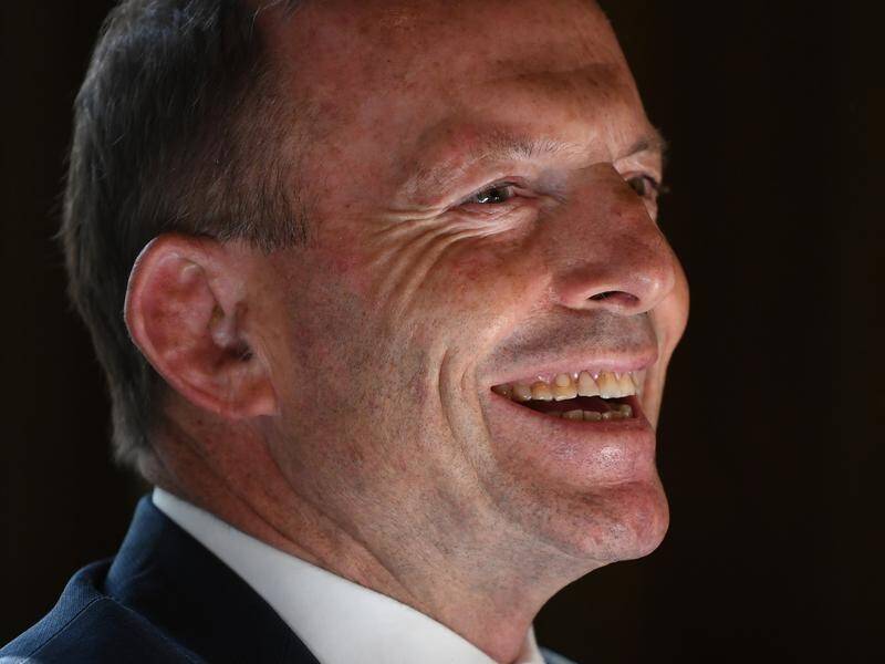Tony Abbott "is clearly a giant on Australian politics", coalition minister Mathias Cormann says.