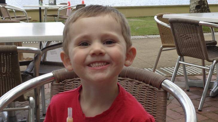 Police have been given information about 600 persons of interest in the William Tyrrell investigation. Photo: Supplied
