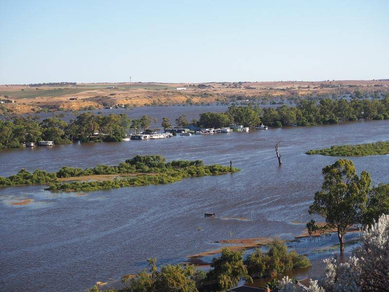 The SA government has extended an emergency declaration despite Murray water levels falling. (Tim Dornin/AAP PHOTOS)