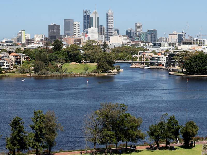 At least 600 dead fish have been seen in the Swan River, sparking a departmental investigation.