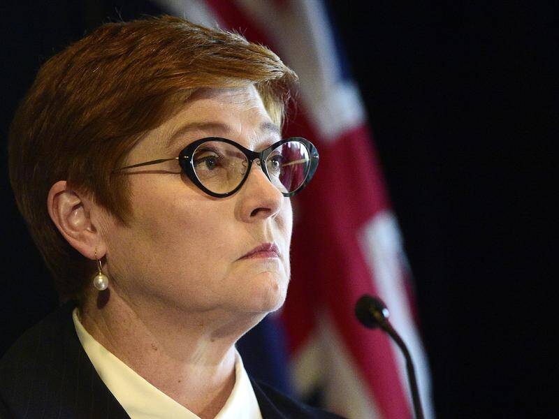 Foreign Minister Marise Payne has not ruled out deploying US missiles in Australia's north.
