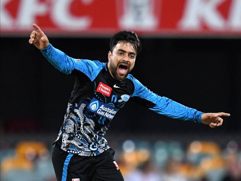 Rashid Khan leads Afghanistan to victory | Illawarra Mercury | Wollongong,  NSW