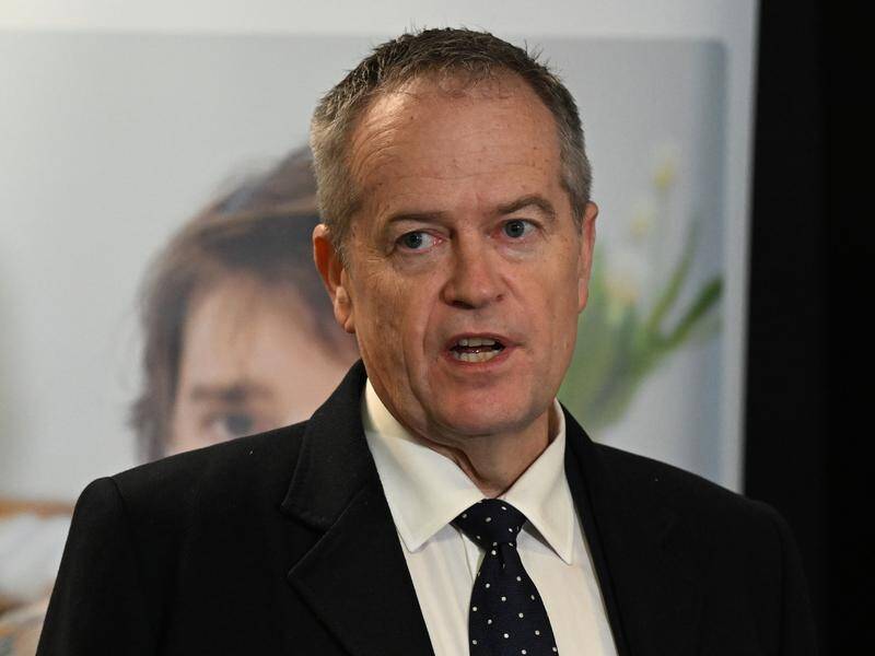 The increase will give people using the scheme better access to support, Bill Shorten says.