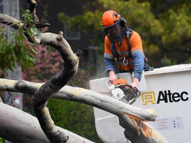 NSW volunteers will reinforce Victorian emergency crews dealing with storm damage.