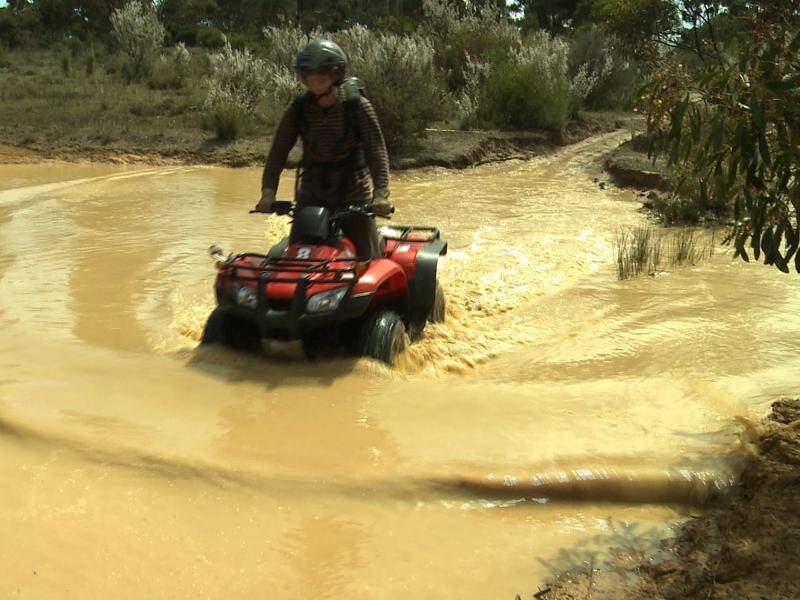 Quad bikes sold in Australia will have mandatory roll bars within two years under new federal rules.