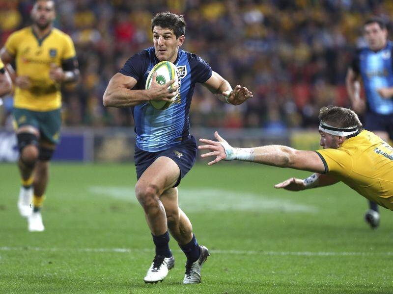 Argentine star Tomas Cubelli will add flair to the Western Force in Super Rugby AU next season.