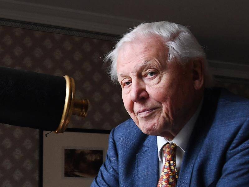 David Attenborough has highlighted climate change in his latest film.