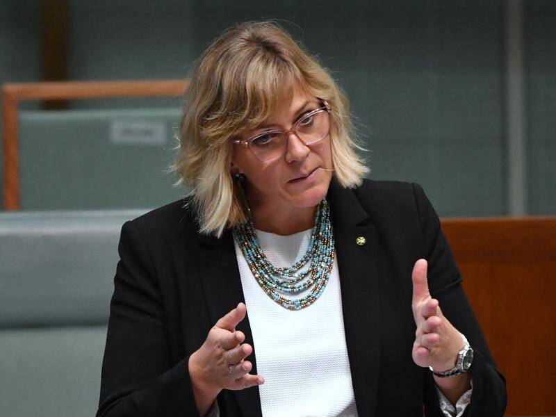 "We have not progressed our climate policy since Tony Abbott," Independent MP Zali Steggall says.