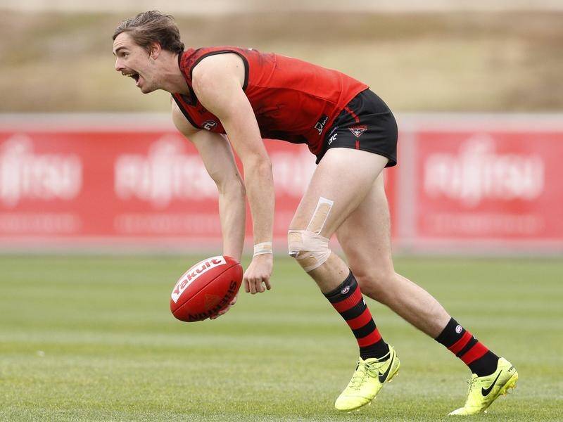 Key Bomber Joe Daniher could be back from a long-term injury to feature in pre-season games.