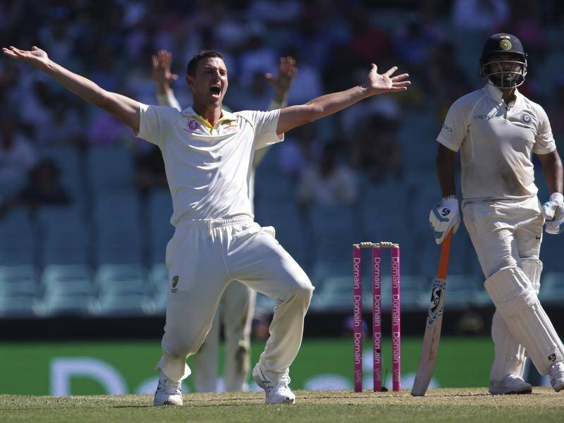 Josh Hazlewood says they will adapt if the series start against India in Brisbane is cancelled.