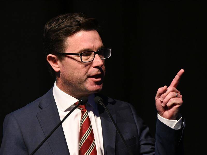 National Party leader David Littleproud says a regional and local voice model is unlikely to work. (Darren England/AAP PHOTOS)