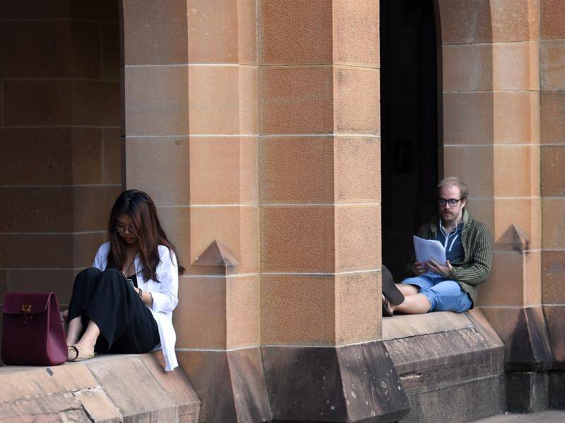 A NSW plan to have international students return by mid-year has support in the university sector.