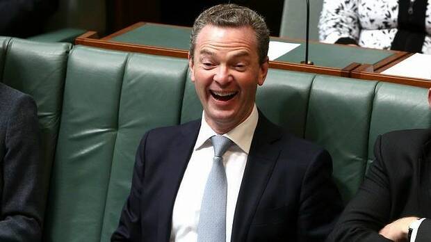 You're such a ...": opinions vary on the word Christopher Pyne used. Picture: ALEX ELLINGHAUSEN