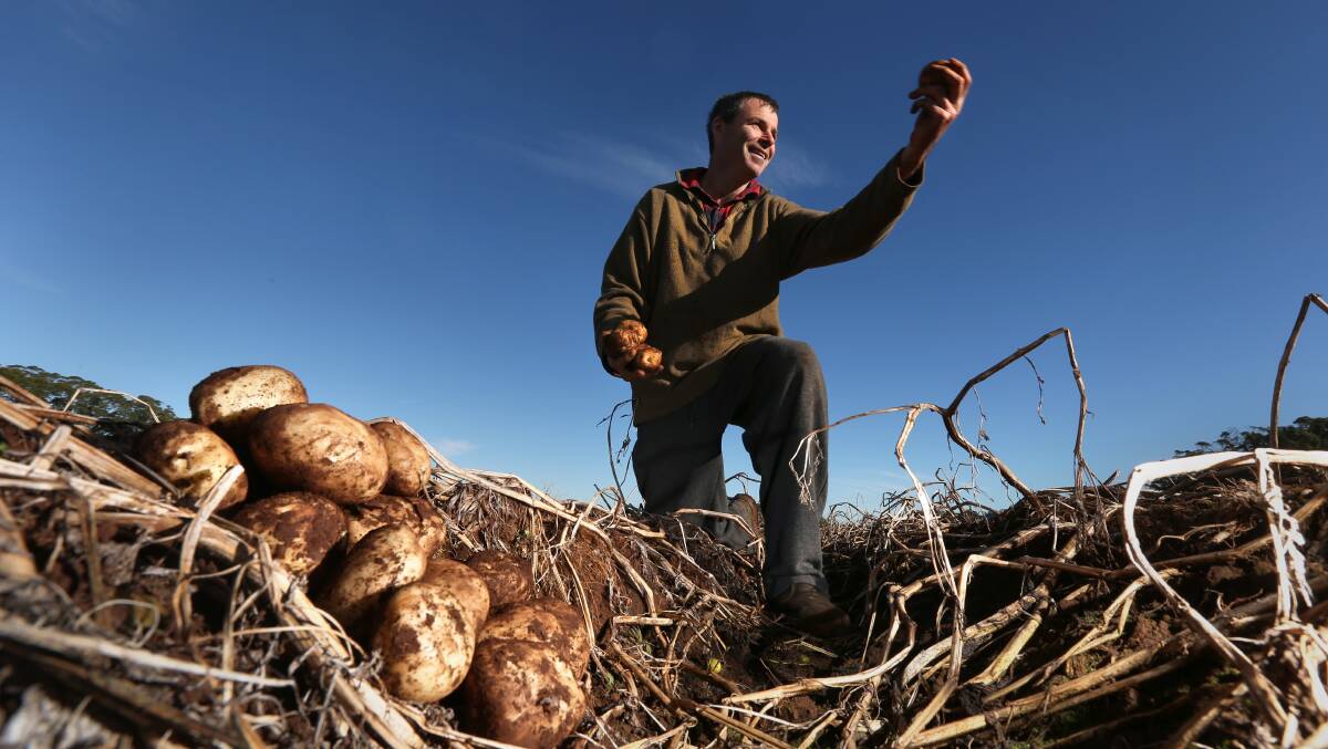 Southern Highlands potato grower Todd Hill. Picture: PETER RAE