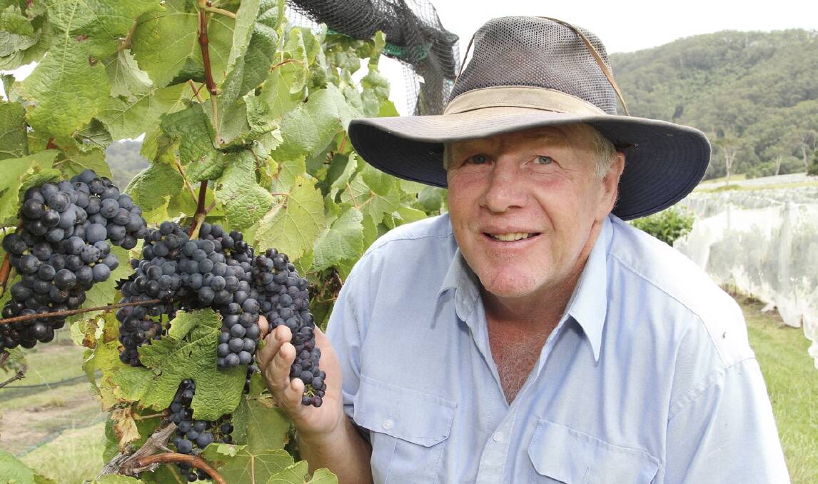Greg Bishop in his vineyard on the Coolangatta Estate. 