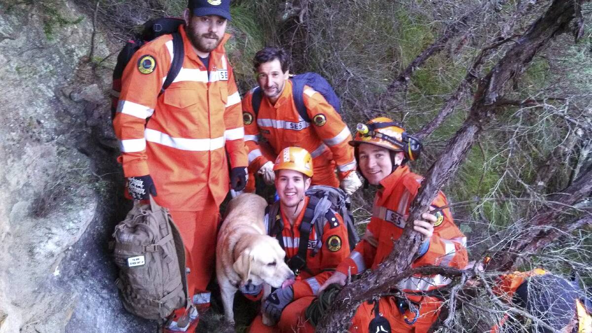 DARING RESCUE: SES volunteers abseiled down a cliff near Robertson on Tuesday morning to rescue four year old Sammy the golden labrador.