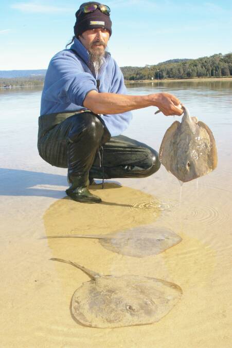 DEATH RAYS: Resident Allan Gratzer shows some of the dead and decaying stingrays in the entrance to Lake Conjola. 