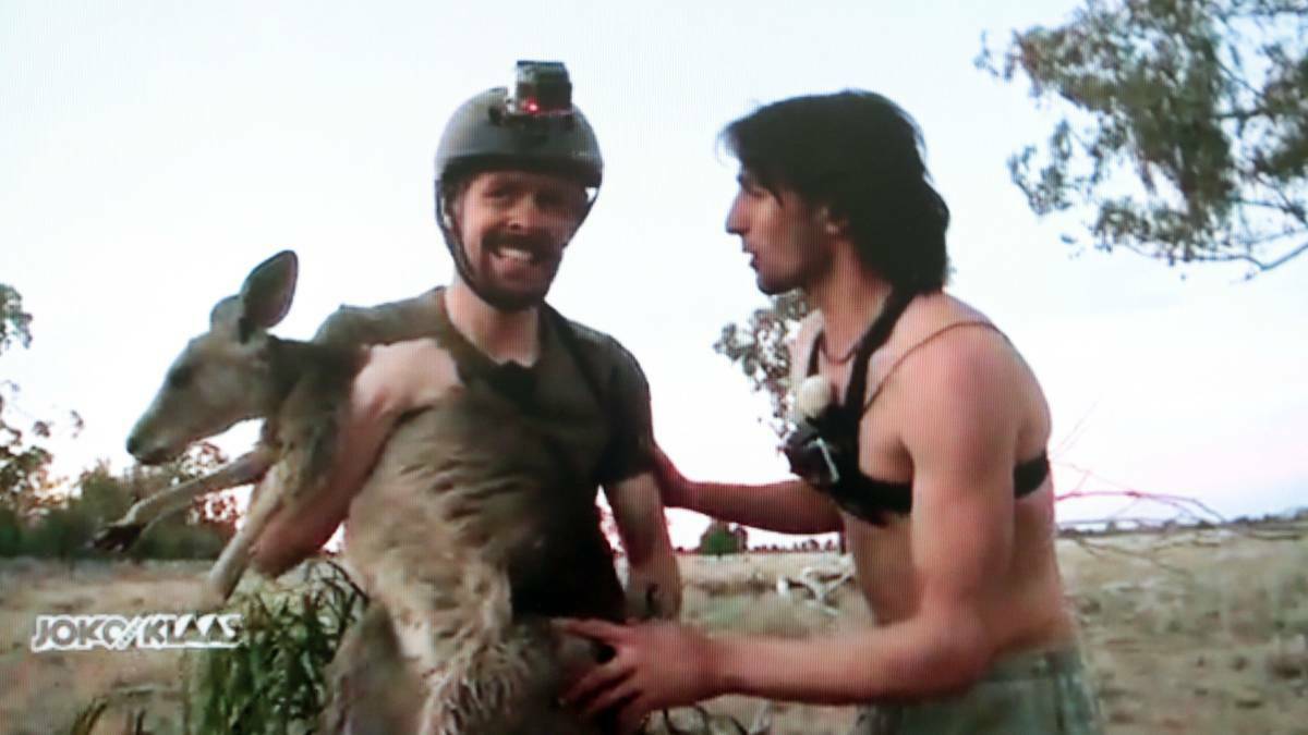 German TV host Klaas Heufer-Umlauf holds tight to his kangaroo catch under the trained eye of Dapto wildlife adventurer Andrew Ucles.