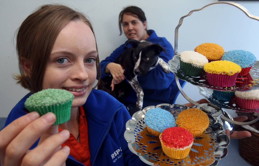 RSPCA staff members Jasmine and Karen with cattle dog cross Missy check out some tasty snacks ahead of RSPCA Cupcake Day at the Unanderra shelter on August 16. Picture: ROBERT PEET
