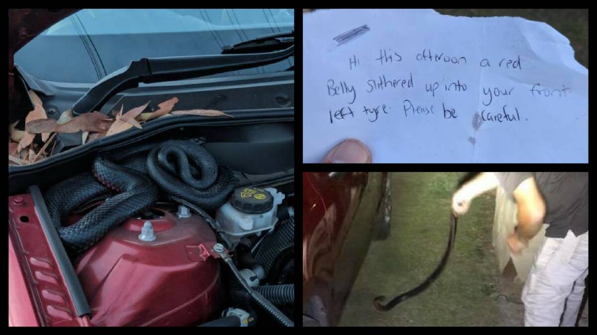 The car, the snake and the note. Photos: supplied