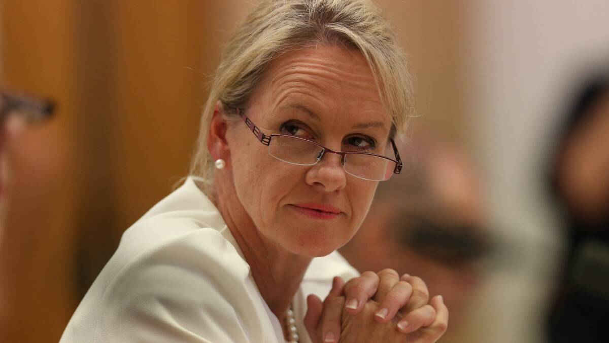 Senator Fiona Nash. Pic: Andrew Meares