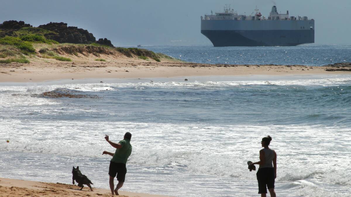 Man's best friend fetches a ball as a couple walk along MM Beach at Port Kembla on Monday. Picture: KIRK GILMOUR