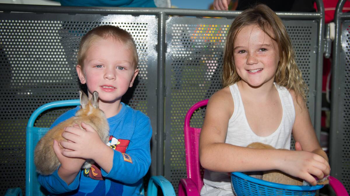 
Aiden Dibartolo and Camryn Kitchener playing with the bunnies in the petting zoo.
