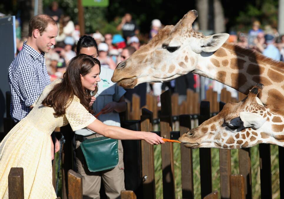Prince William and his wife Catherine, the Duchess of Cambridge, enjoy Taronga Zoo with their son Prince George. Picture: REUTERS 
