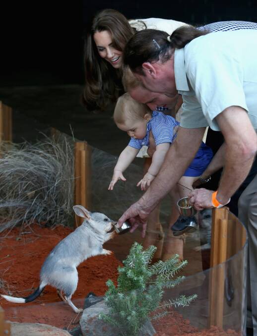 Britain's Prince William and his wife Catherine, the Duchess of Cambridge, watch as their son Prince George looks at a Bilby which has been named after him at Taronga Zoo. Picture: REUTERS 