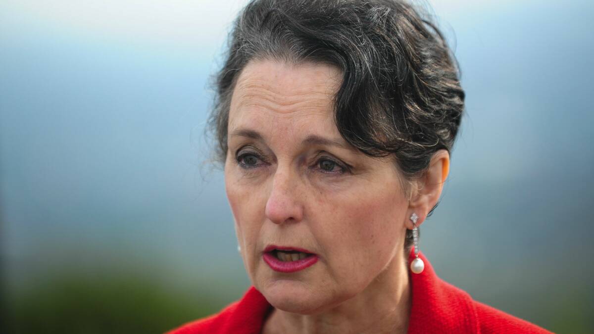 Pru Goward's time as community services minister is being scrutinised by the NSW Ombudsman. Picture: KATHERINE GRIFFITHS