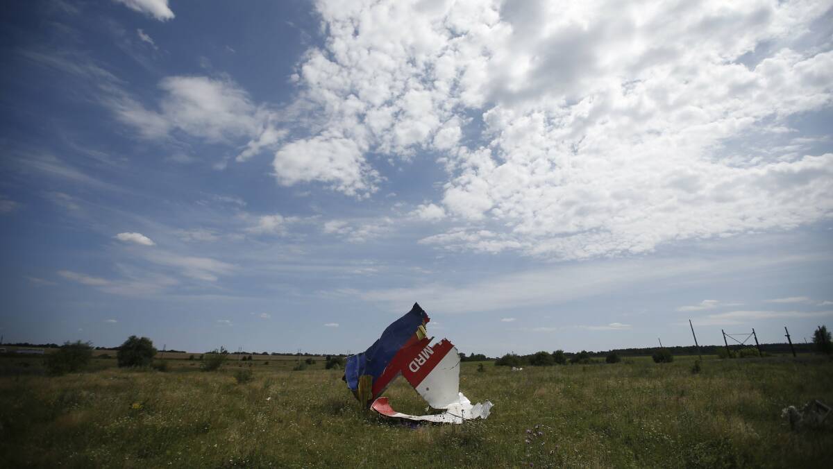 A part of the wreckage of Malaysia Airlines Flight MH17 is pictured at its crash site, near the village of Hrabove, Donetsk region. Picture: REUTERS