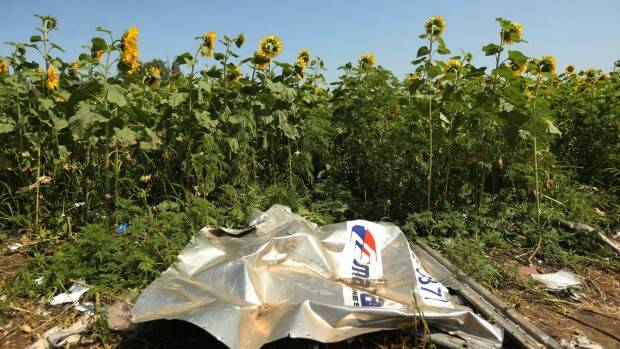 Plane debris from the MH17 sits among sunflowers in a field in Ukraine's Donetsk province. Fairfax journalist Paul McGeough and photographer Kate Geraghty went to the crash site at dawn to quietly collect seeds from sunflowers to smuggle them back to Australia. Picture: KATE GERAGHTY