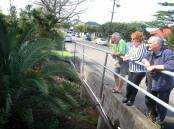 Organs Road residents Norm Upton, Diane Stewart and Geoff Stewart look at the palm tree that has been allowed to grow in Whartons Creek. Picture: SYLVIA LIBER