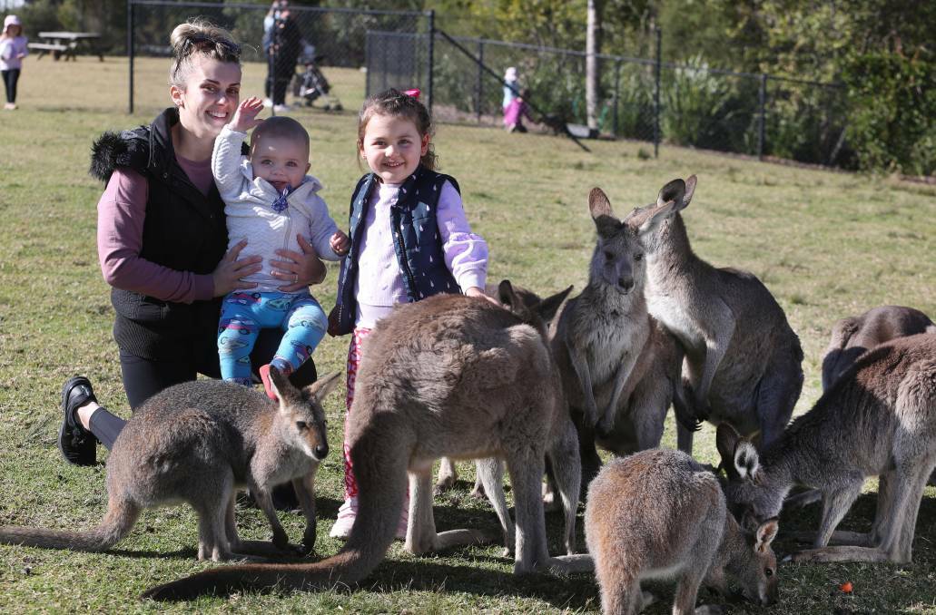 Kate, Jesse and Charlize Jacques with the kangaroos at Symbio Wildlife Park. Pictures: Robert Peet.
